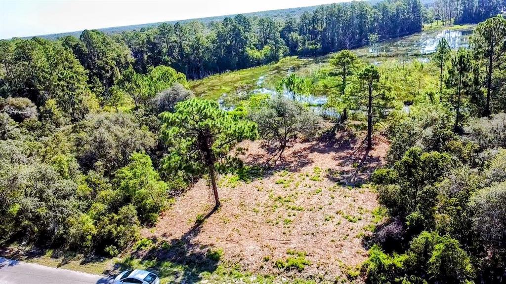 Property for sale at 0 MALAUKA PASS, OCKLAWAHA, FL, 32179