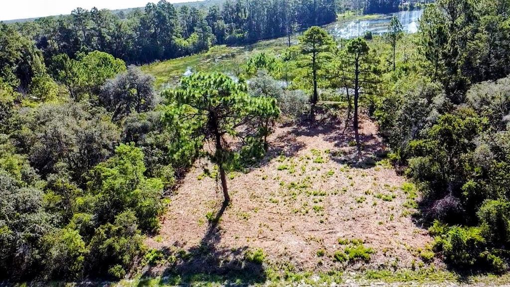 Property for sale at 0 MALAUKA PASS, OCKLAWAHA, FL, 32179
