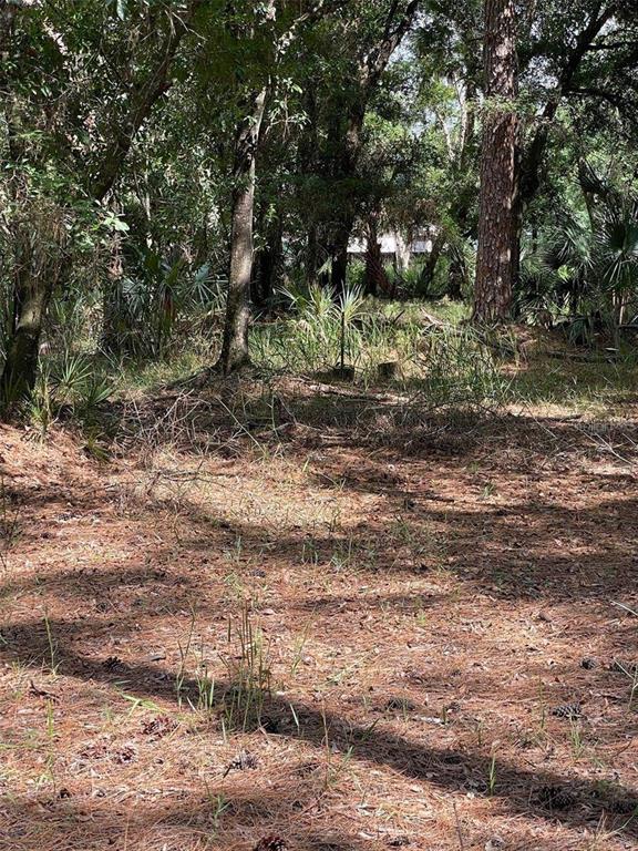 Property for sale at THUNDERHEAD STREET, WESLEY CHAPEL, FL, 33544