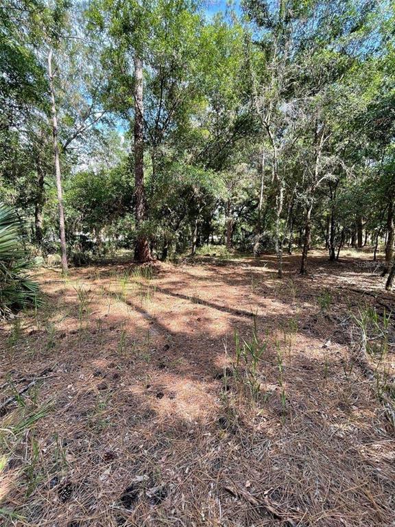 Property for sale at THUNDERHEAD STREET, WESLEY CHAPEL, FL, 33544