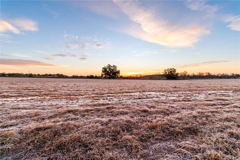 Property for sale at 4240 ROYAL SKY (LOT 6) COURT, BROOKSVILLE, FL, 34602