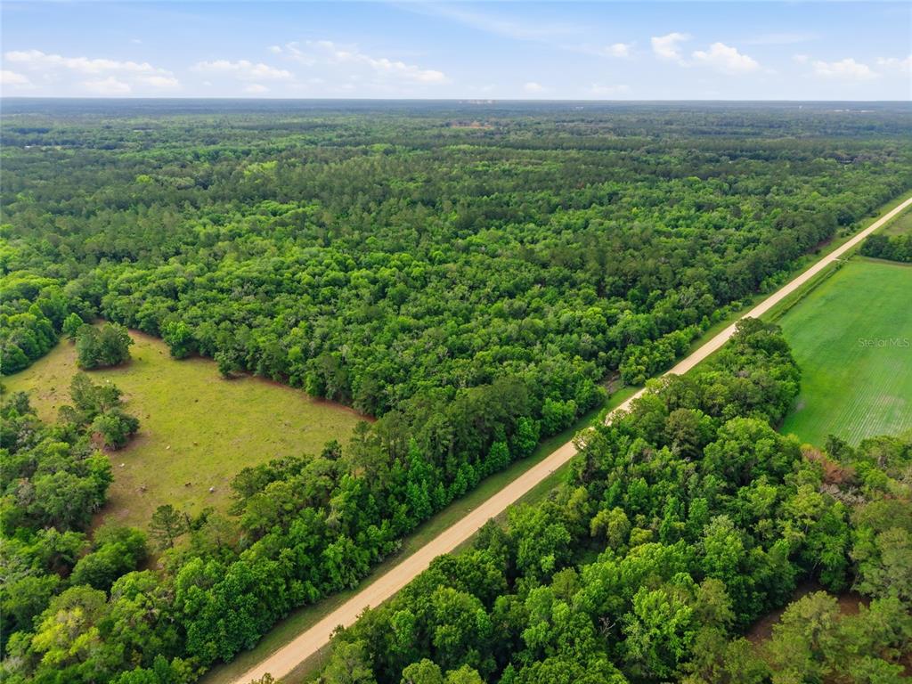 Property for sale at TBD NW 91ST STREET, ALACHUA, FL, 32615