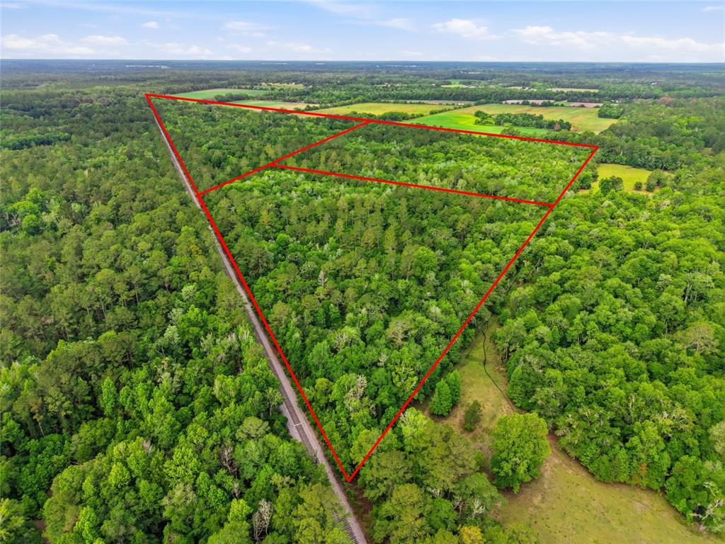 Property for sale at TBD NW 91ST STREET, ALACHUA, FL, 32615