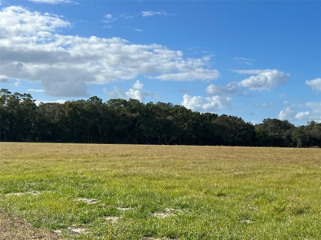 Property for sale at TBD SE 170 AVE ROAD UNIT Tract A, OCKLAWAHA, FL, 32179