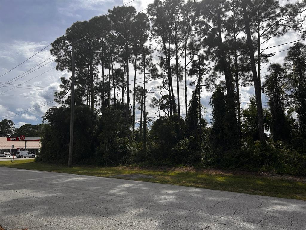 Property for sale at 2946 HIBISCUS DRIVE, EDGEWATER, FL, 32141