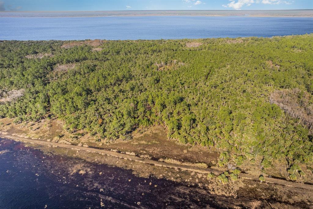 Property for sale at LAKE HARNEY WOODS BOULEVARD, OSTEEN, FL, 32764
