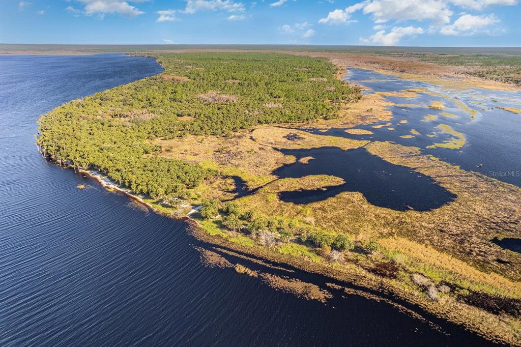 Property for sale at LAKE HARNEY WOODS BOULEVARD, OSTEEN, FL, 32764