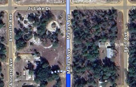 Property for sale at 00 MALTAS AVENUE, INTERLACHEN, FL, 32148