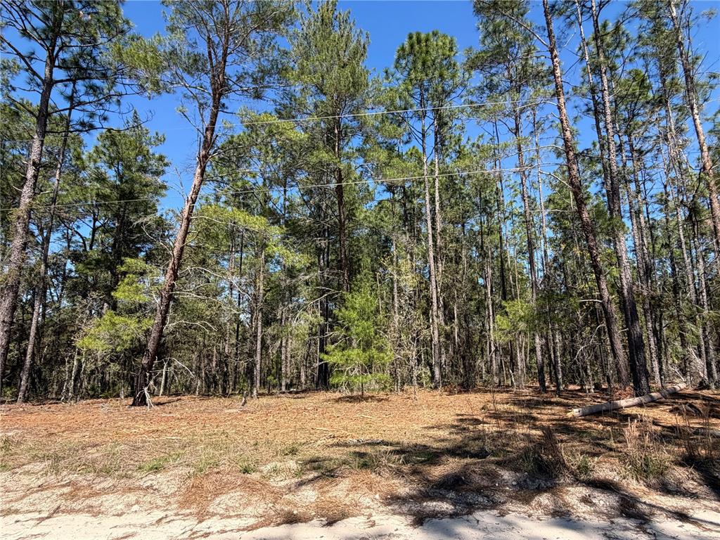 Property for sale at 00000 SE 58TH PLACE, MORRISTON, FL, 32668