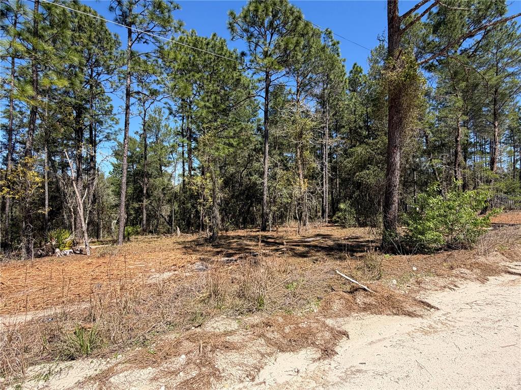 Property for sale at 00000 SE 58TH PLACE, MORRISTON, FL, 32668