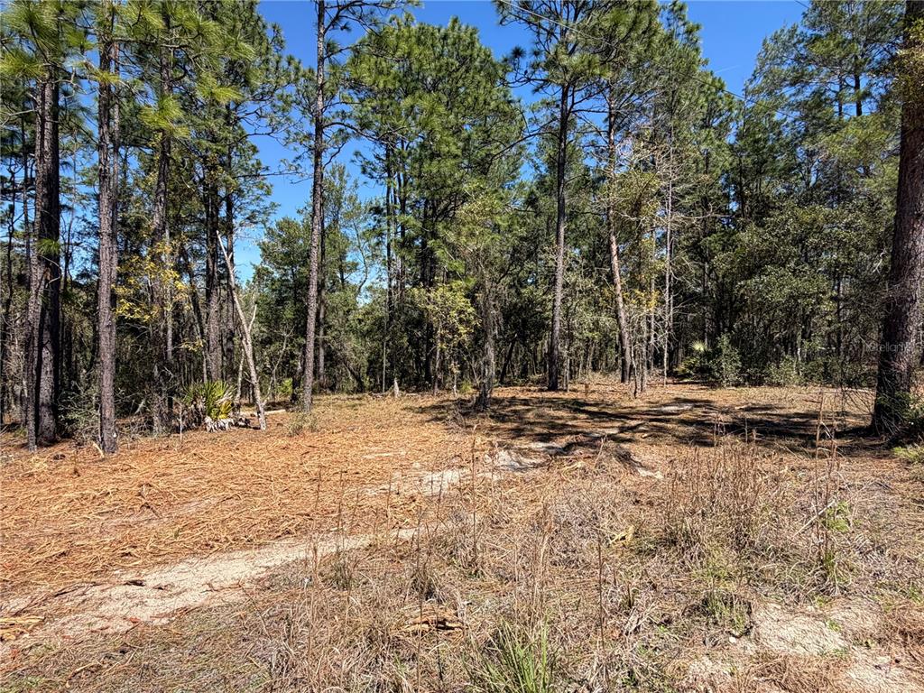 Property for sale at 00000 SE 58TH PLACE, MORRISTON, FL, 32668