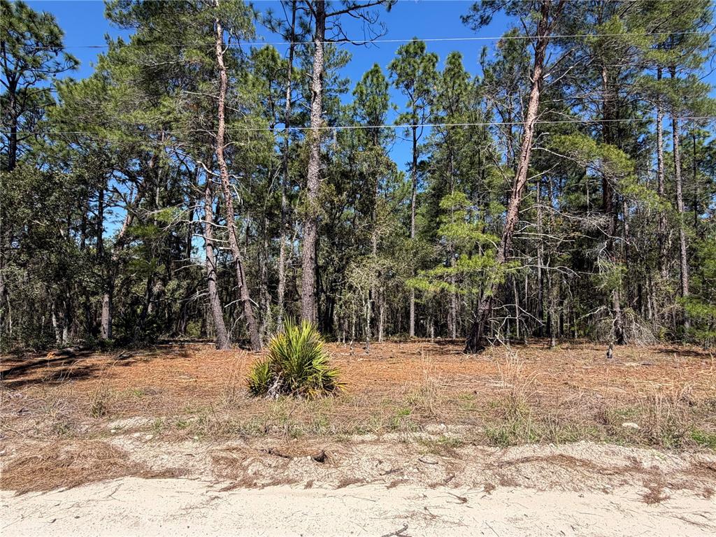 Property for sale at 00000 SE 58TH PLACE, MORRISTON, FL, 32668