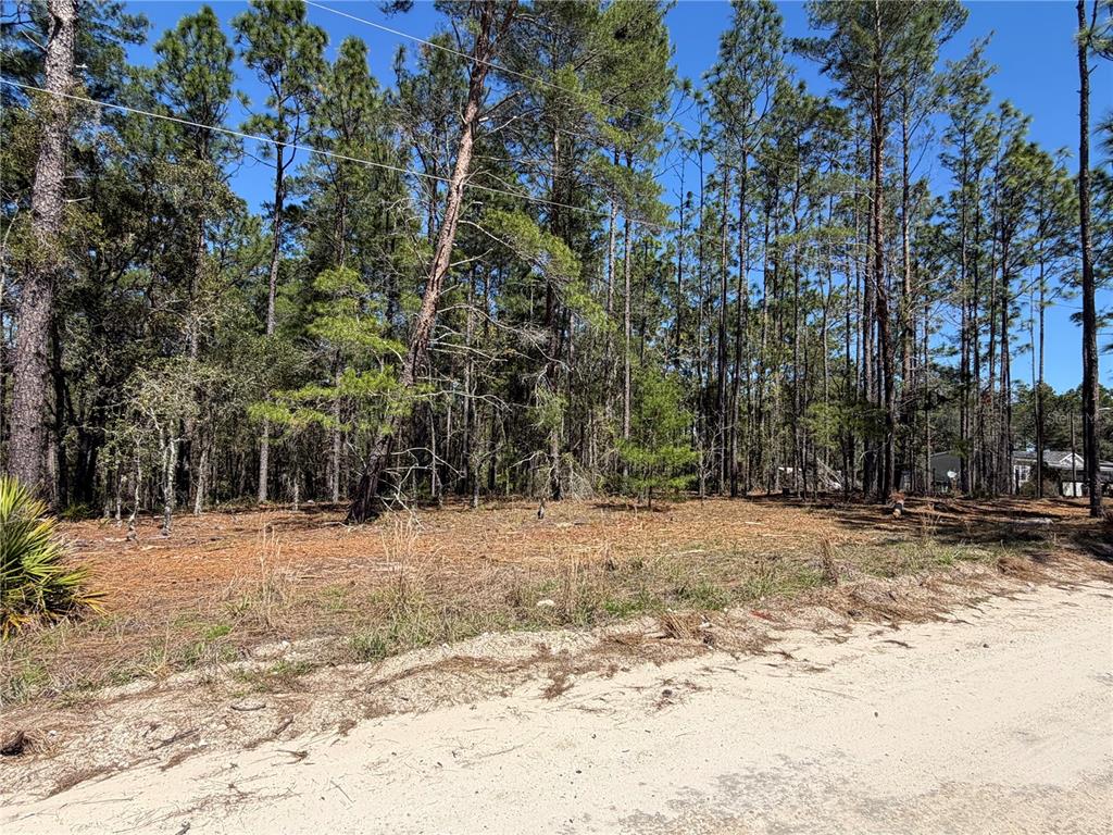 Property for sale at 00000 SE 58TH PLACE, MORRISTON, FL, 32668