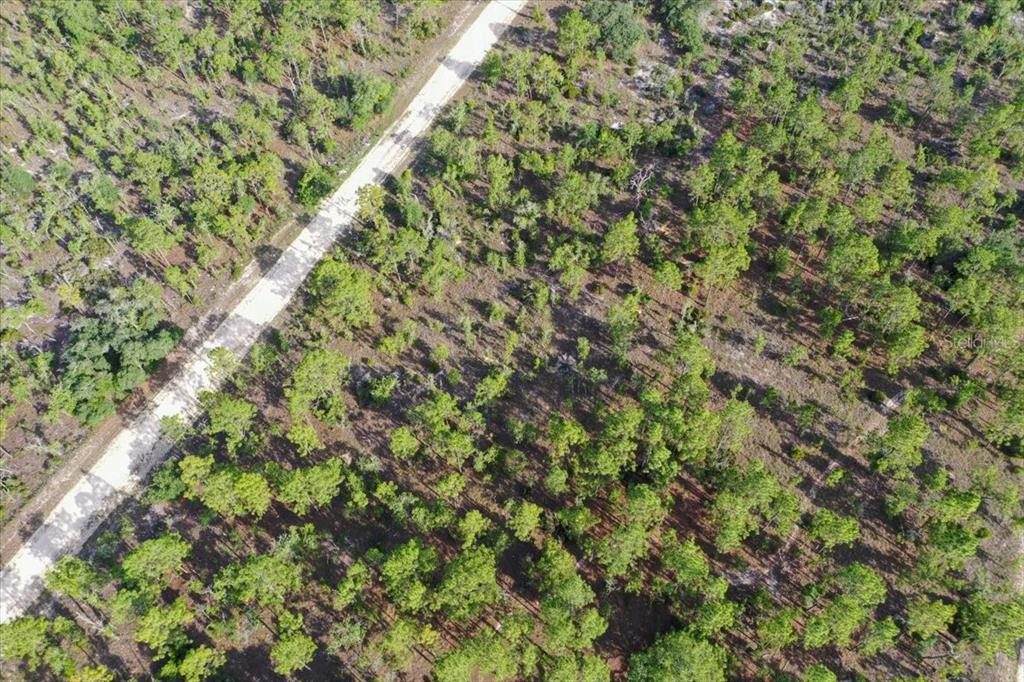 Property for sale at 0000 NE 132 TERRACE LOT 3 TERRACE, WILLISTON, FL, 32696