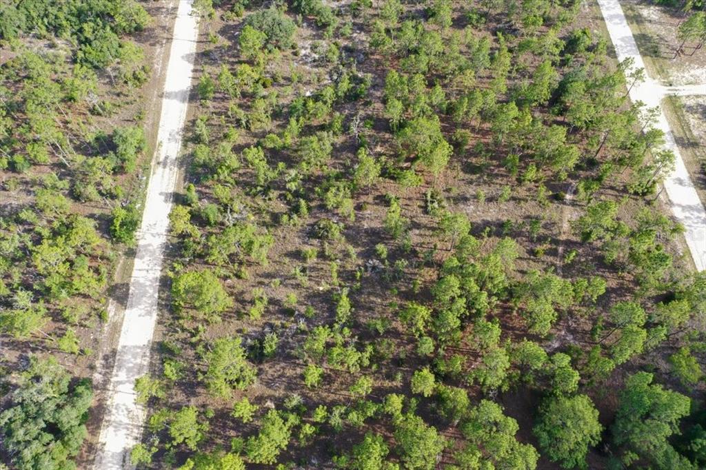 Property for sale at 0000 NE 132 TERRACE LOT 3 TERRACE, WILLISTON, FL, 32696