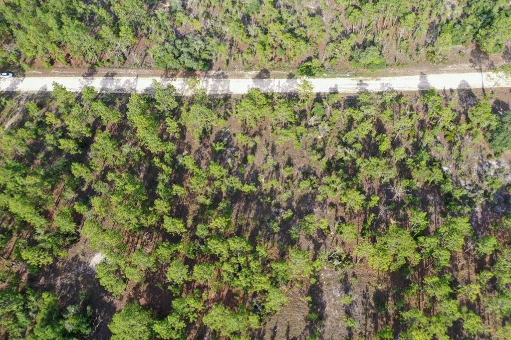 Property for sale at 0000 NE 132 TERRACE LOT 3 TERRACE, WILLISTON, FL, 32696