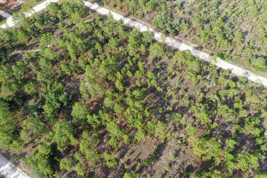 Property for sale at 0000 NE 132 TERRACE LOT 3 TERRACE, WILLISTON, FL, 32696