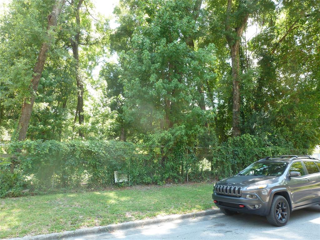 Road Front