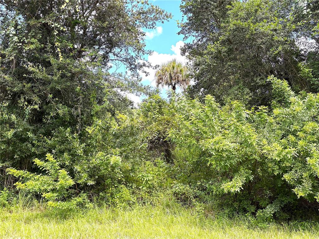 Property for sale at 13276 JOHANNES AVENUE, PORT CHARLOTTE, FL, 33953