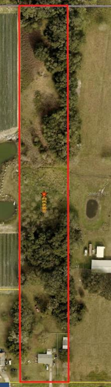 Property for sale at 4316 E KNIGHTS GRIFFIN ROAD, PLANT CITY, FL, 33565