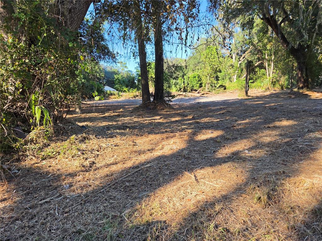 Property for sale at 291 SE 81ST STREET, OCALA, FL, 34480