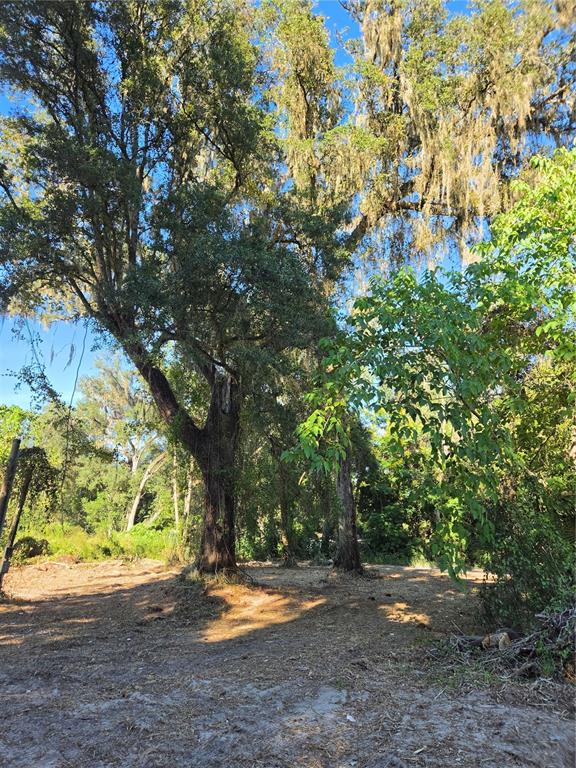 Property for sale at 291 SE 81ST STREET, OCALA, FL, 34480