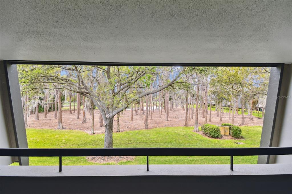 Property for sale at 36750 US 19 N UNIT 06211, PALM HARBOR, FL, 34684