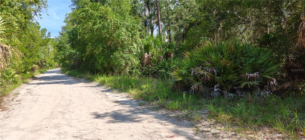 Property for sale at 212 N 2ND AVENUE, SATSUMA, FL, 32189
