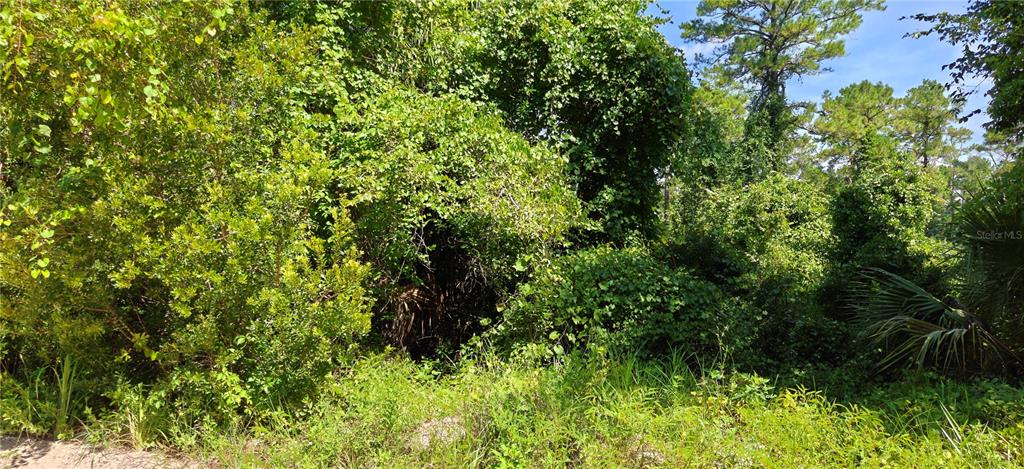Property for sale at 212 N 2ND AVENUE, SATSUMA, FL, 32189