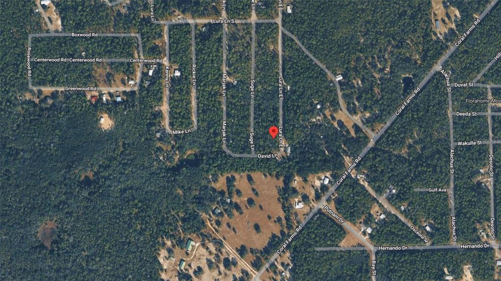 Property for sale at 169 E LURA LANE, FLORAHOME, FL, 32140