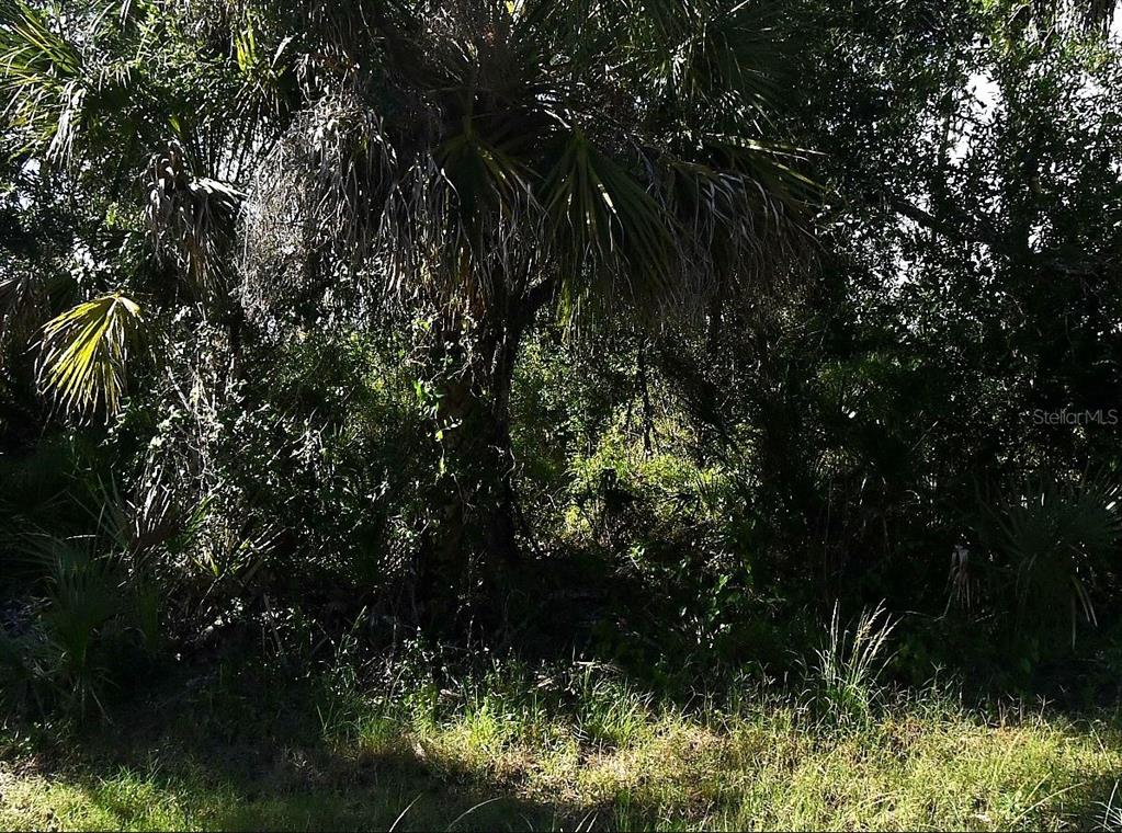 Property for sale at DESCO ROAD, NORTH PORT, FL, 34286
