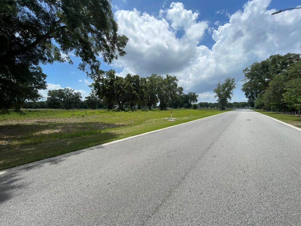 Property for sale at 1020 DUCK BOX ROAD, UMATILLA, FL, 32784