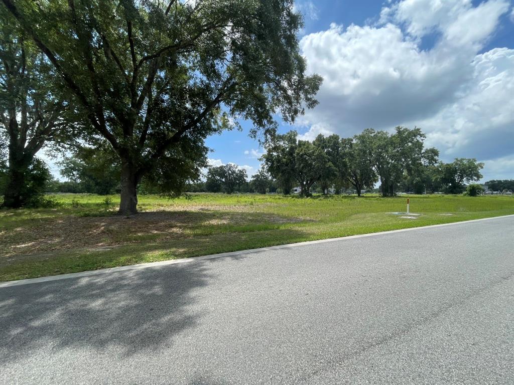 Property for sale at 1020 DUCK BOX ROAD, UMATILLA, FL, 32784