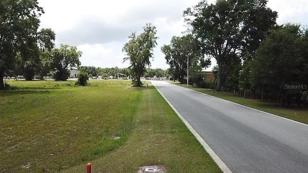 Property for sale at 1020 DUCK BOX ROAD, UMATILLA, FL, 32784