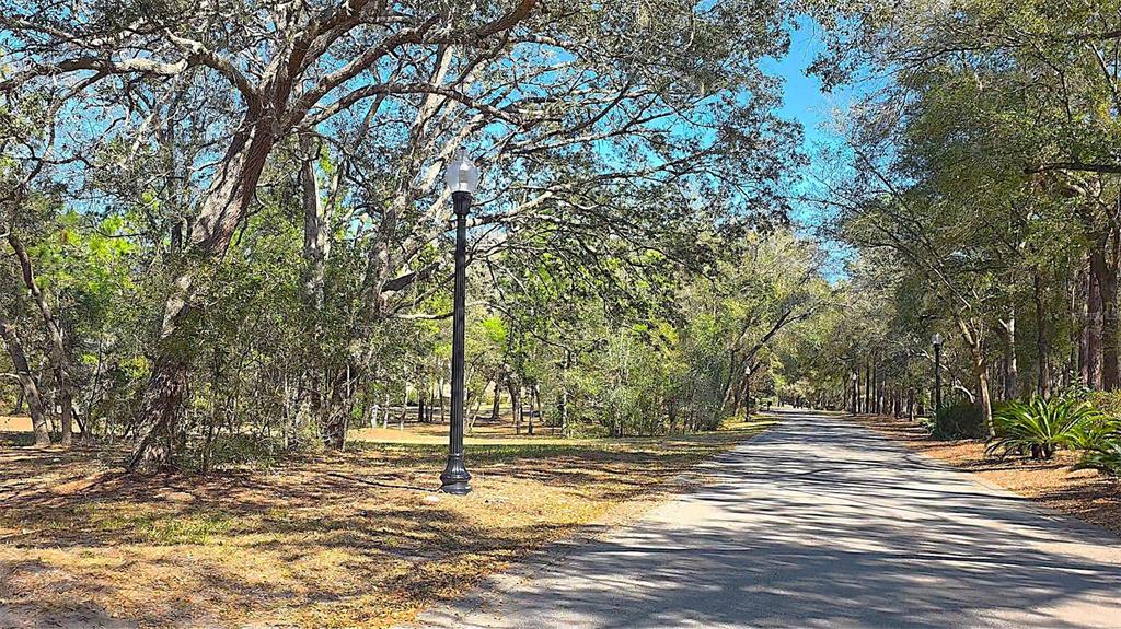 Street lamps light the community road