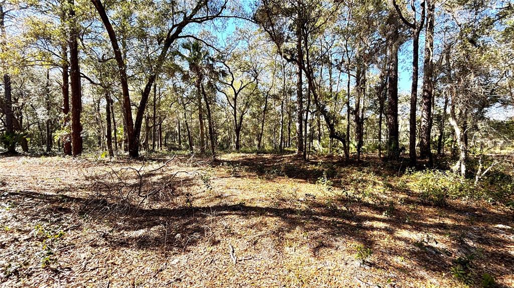 Property for sale at LINCOLN ROAD, DELAND, FL, 32724