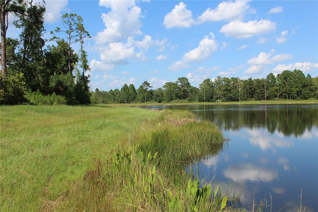 Property for sale at DOLPHIN CIRCLE, ORLANDO, FL, 32833