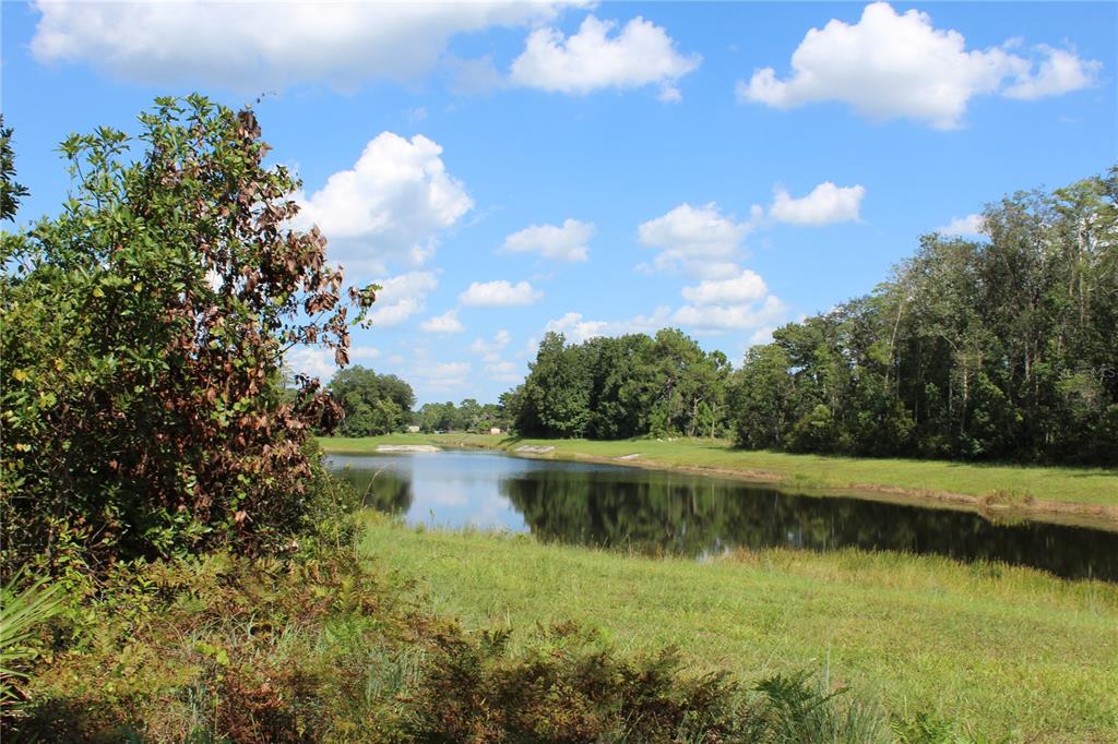 Property line extends into water