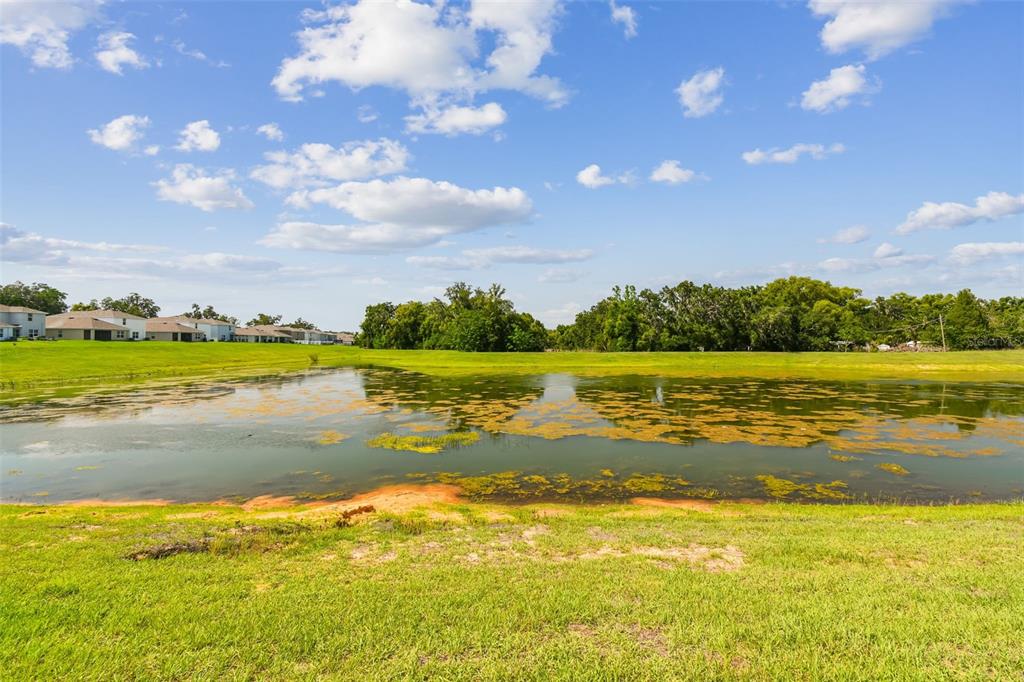 VEW FROM LANAI - BEAUTIFUL POND & NO REAR NEIGHBORS!