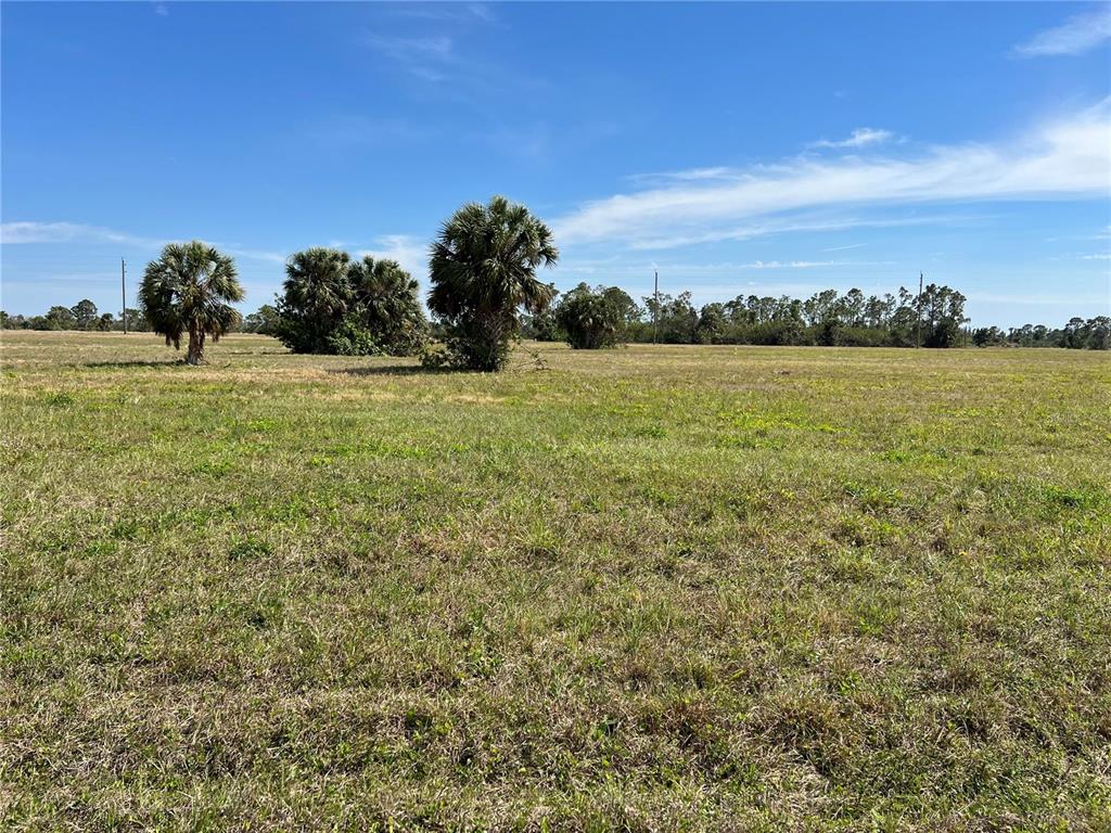 Property for sale at 12368 GREENLING WAY, PLACIDA, FL, 33946