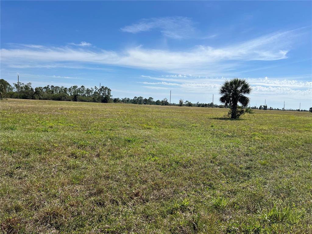 Property for sale at 12368 GREENLING WAY, PLACIDA, FL, 33946