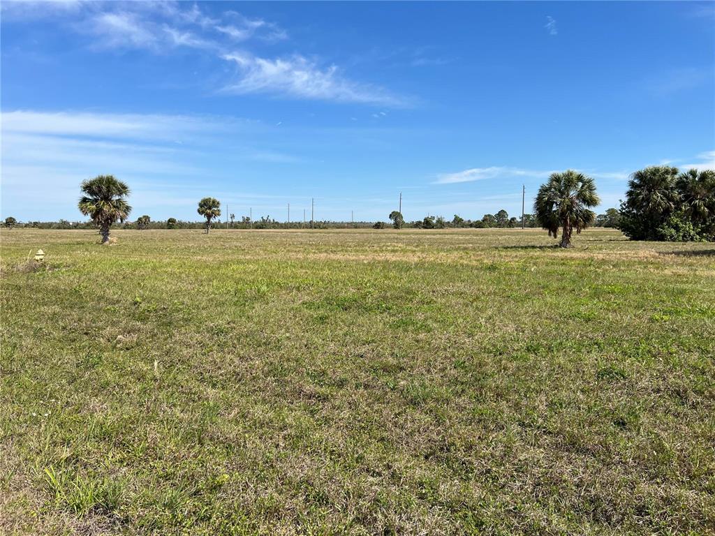 Property for sale at 12368 GREENLING WAY, PLACIDA, FL, 33946