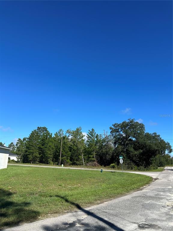 Property for sale at 14 FISHER COURT, OCKLAWAHA, FL, 32179