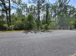 Property for sale at 000 W BLUEBELL AVENUE, EUSTIS, FL, 32736