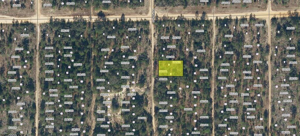 Property for sale at SW 55TH AVENUE, INTERLACHEN, FL, 32148