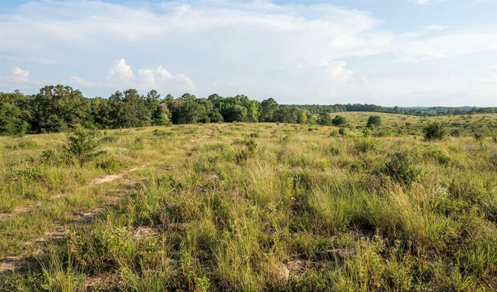 Property for sale at 775 N SR 415 AVENUE, OSTEEN, FL, 32764