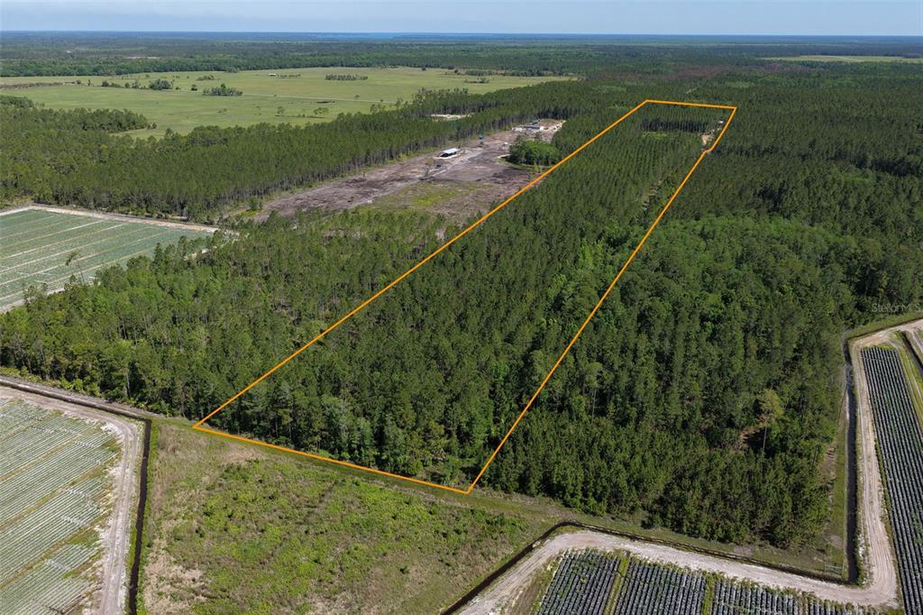 Property for sale at 15539 COUNTY RD 305, BUNNELL, FL, 32110