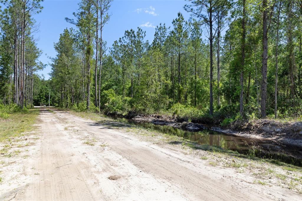 Property for sale at 15539 COUNTY RD 305, BUNNELL, FL, 32110