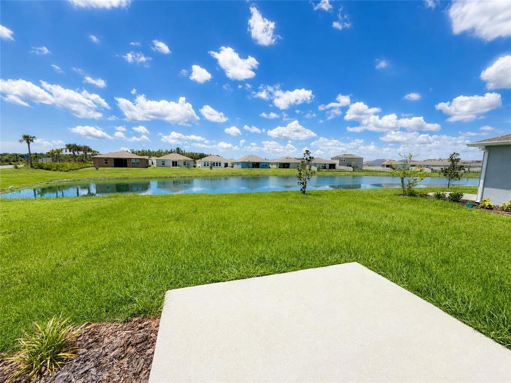 Pond View