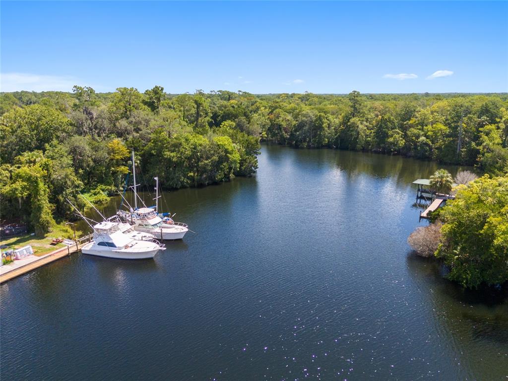 Property for sale at 0 HICKORY AVENUE, YANKEETOWN, FL, 34498